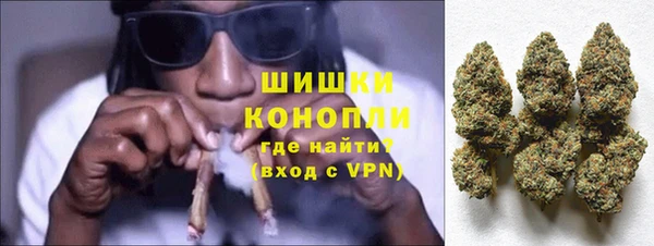 амф Пересвет
