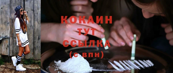 амф Пересвет