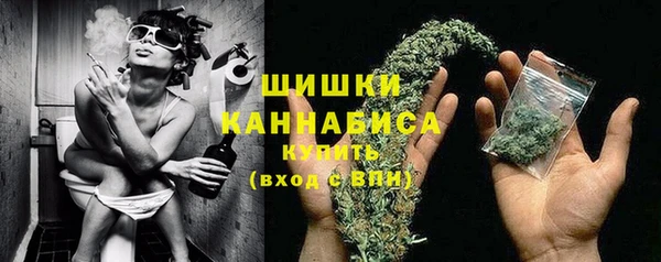 амф Пересвет