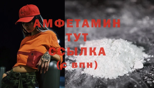 амф Пересвет