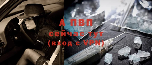 амф Пересвет