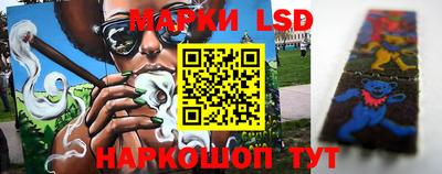 гидра Кандалакша