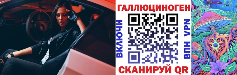 Псилоцибиновые грибы Psilocybe  Северобайкальск 