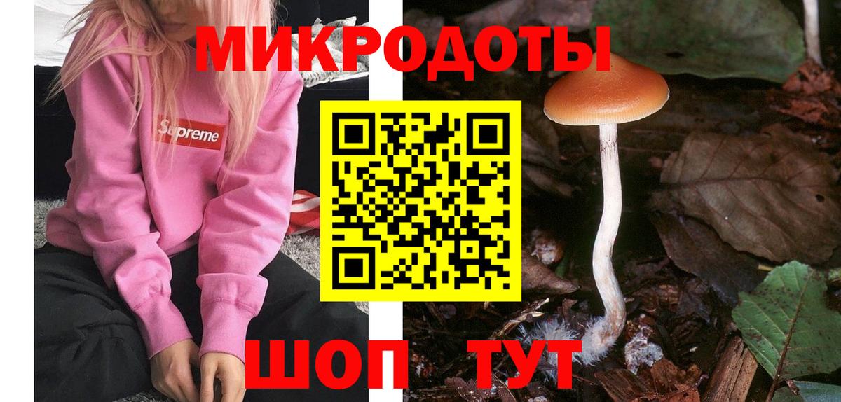 Псилоцибиновые грибы мицелий  Галлюциногенные грибы Cubensis  Вход с VPN  Северобайкальск 